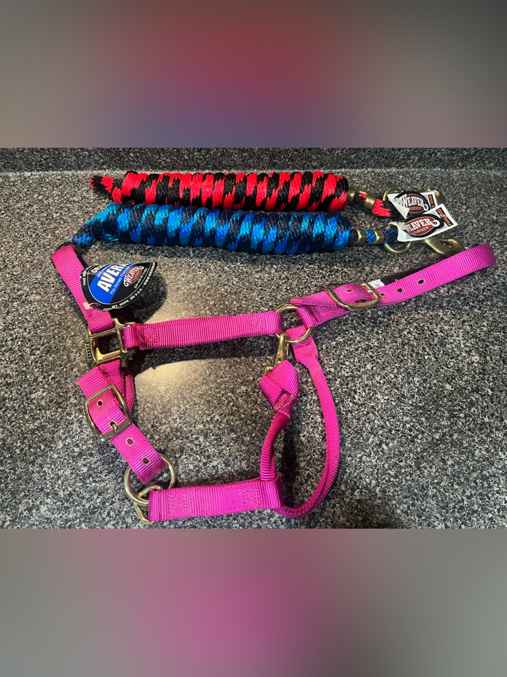 Weavers Bright Magenta Nylon Standard Halter with Blue/Bk and Red/BK Lead Ropes